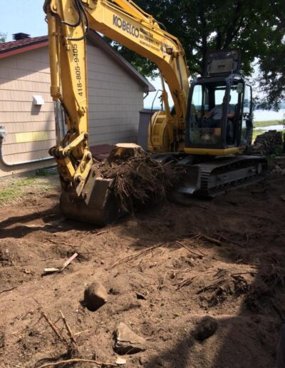 Retrait d'une souche d'arbre